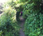 cemetery allotments path 1