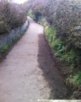 coastal path from badger bridge