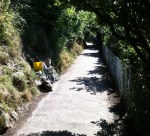 path above sugar lookout