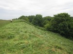 scything Wain's Hill ramparts in June
