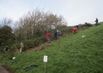 bramble cutting on Church Hill