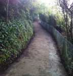 coast path, Church Hill