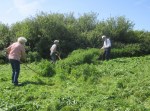 scything on Church Hill