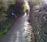 tidying path to the sugar lookout