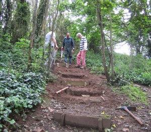 woodland step construction 2012