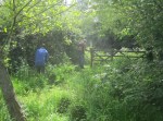 brush cutting to gate