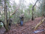 coppicing 15 Jan
