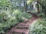 Salthouse Wood steps