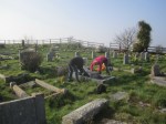 grave tidying again
