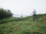 Wain's Hill June scything starts