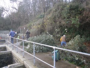 Woodcutters at Marine lake 1