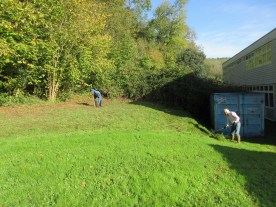 corner mowed, raked and bramble roots grubbed