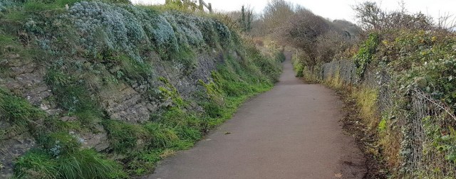 the coast path towards Wain's Hill