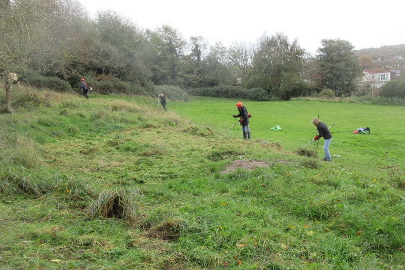 autumn mowing and raking begins
